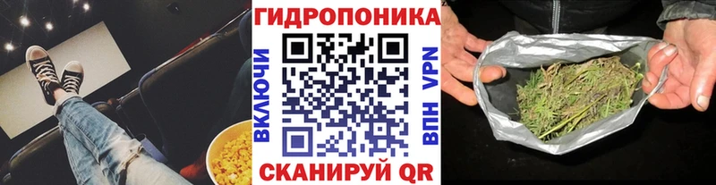Конопля планчик Муравленко