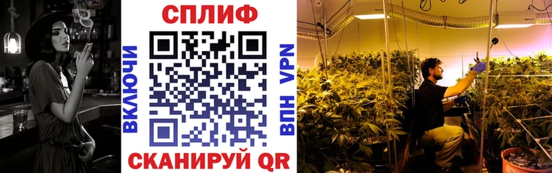 Купить где  Муравленко  Конопля VHQ 